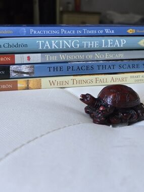 🕊 Healing & Buddhist Wisdom Bundle | Pema Chödron | Letting Go & Growth